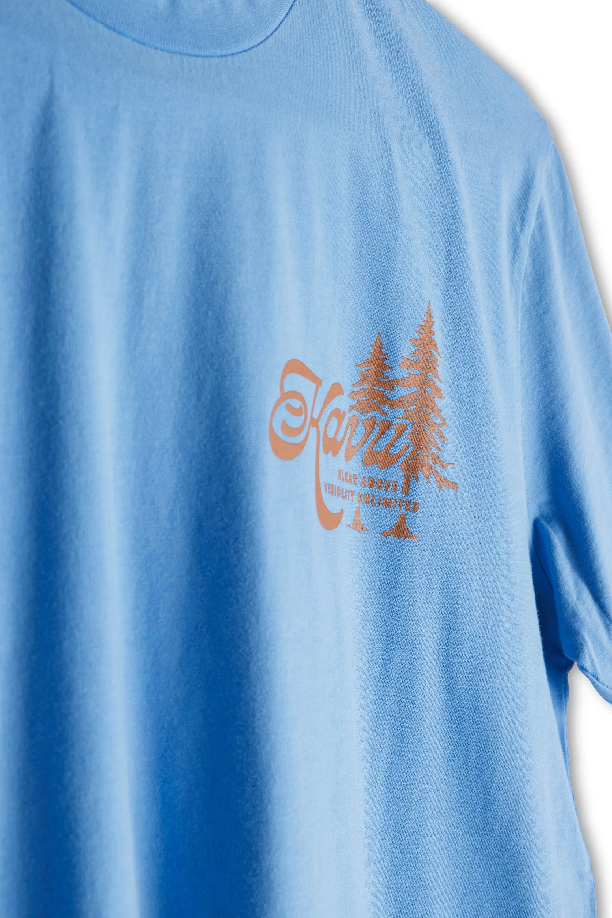 In A Pine - Image 2