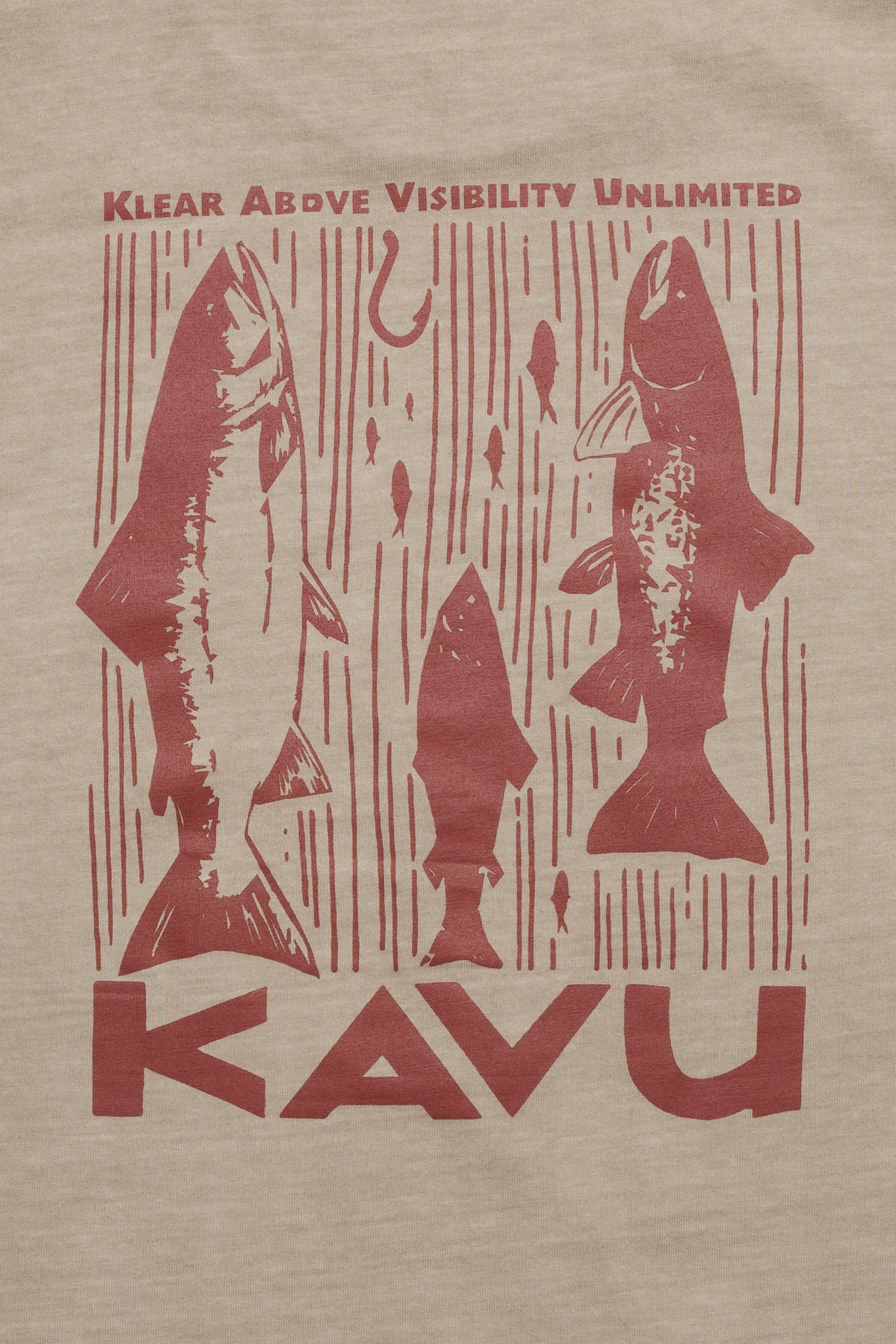 Salmon - Image 8