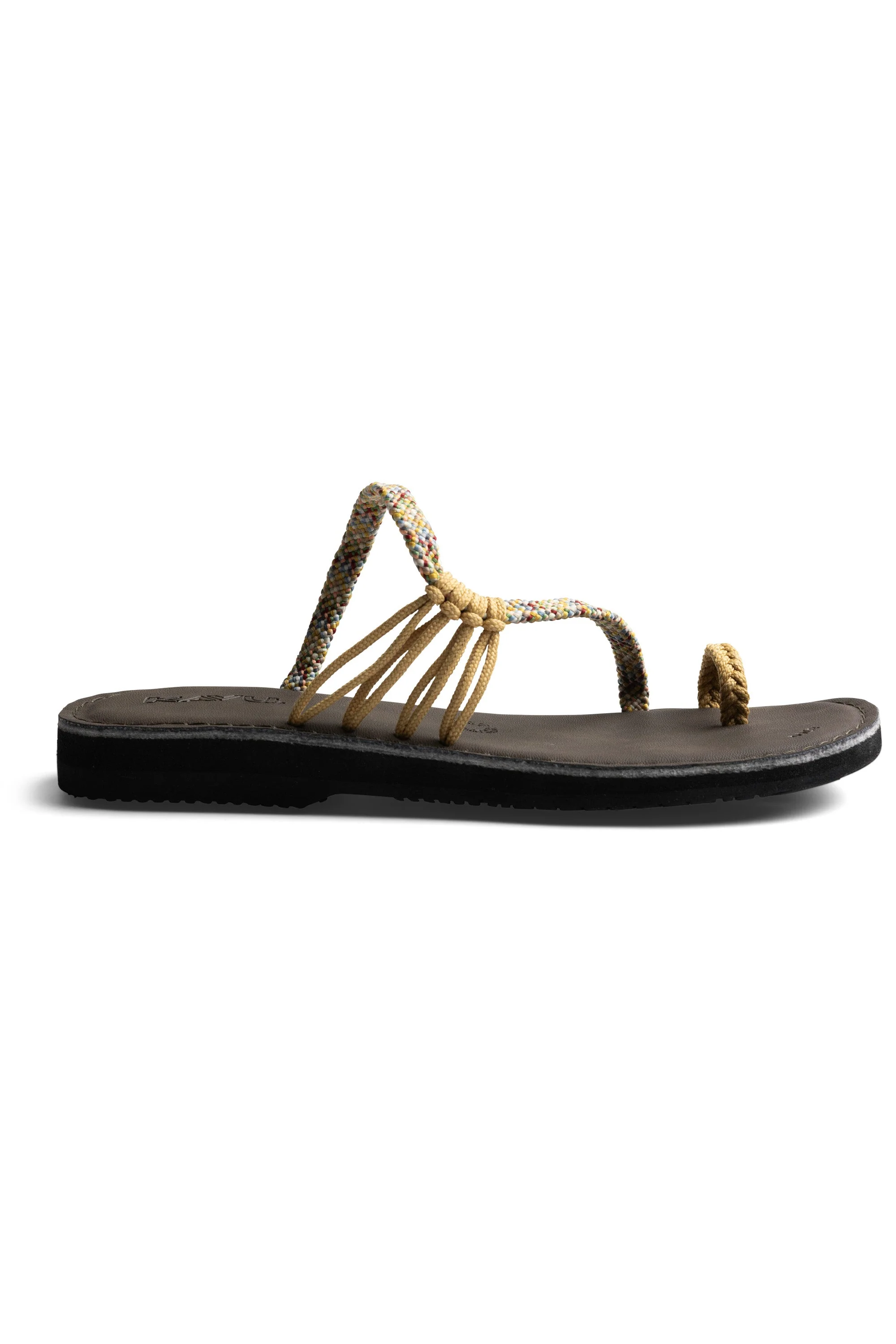 Shore Enuff - Image 13