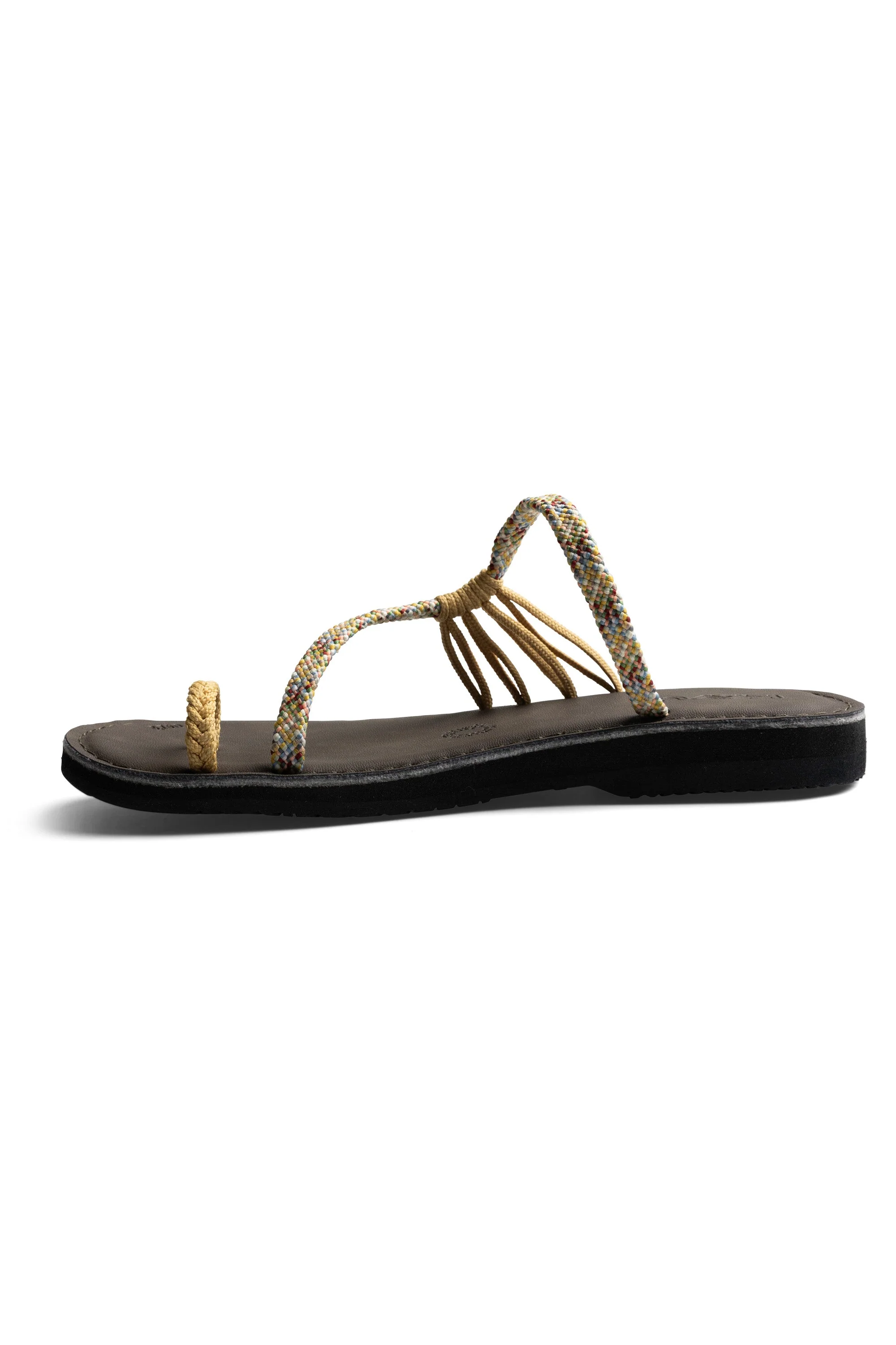 Shore Enuff - Image 14