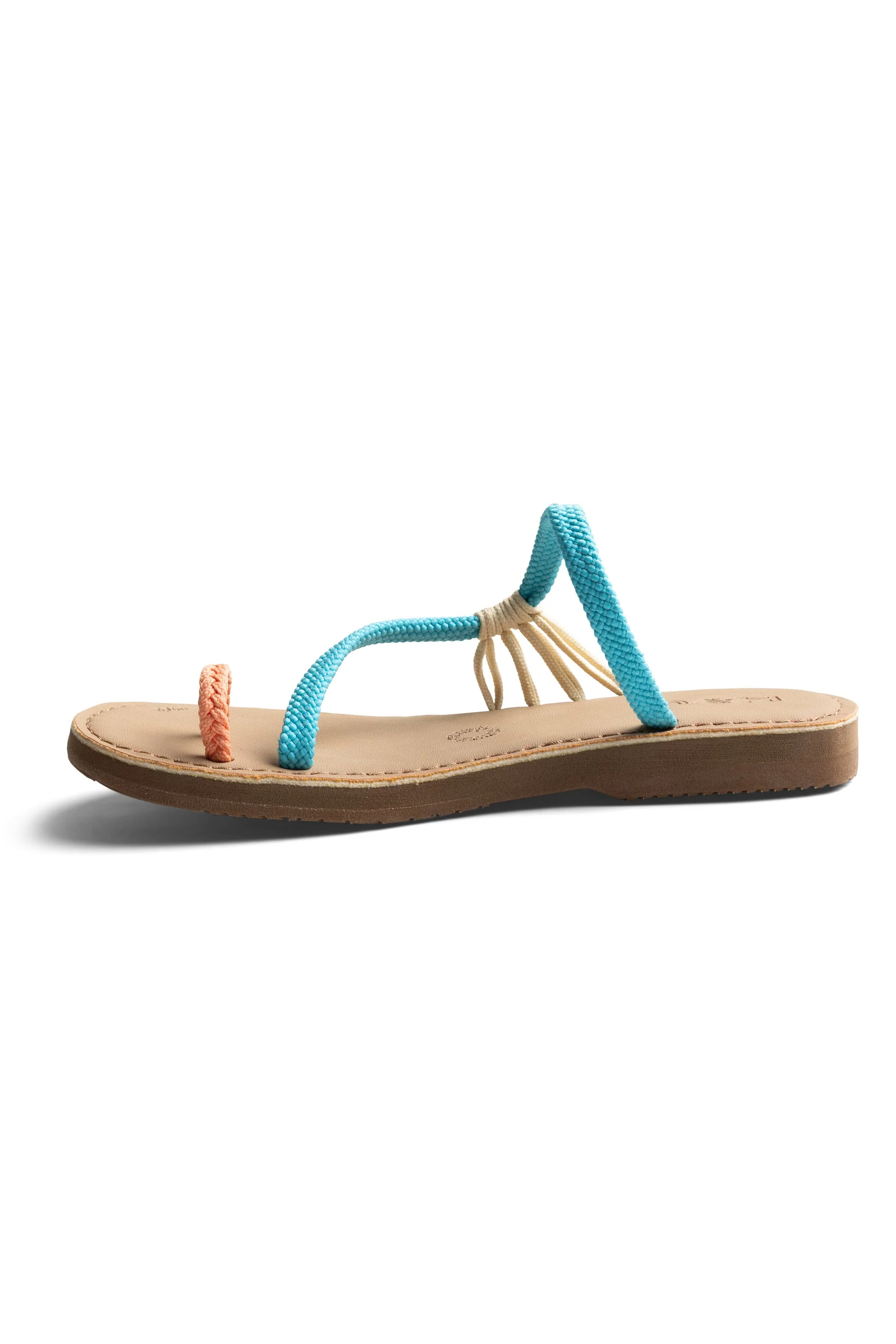 Shore Enuff - Image 4